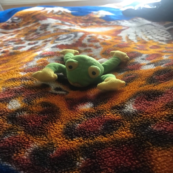 Cute green frog - Picture 2 of 2